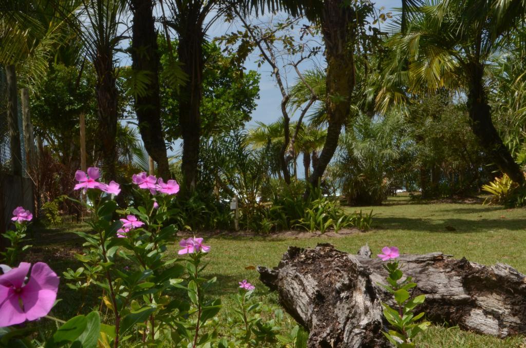 Pousada Tortuga Hotel Barra Grande  Bagian luar foto