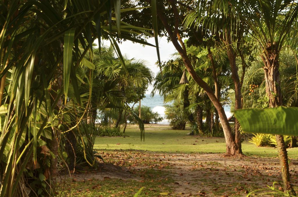 Pousada Tortuga Hotel Barra Grande  Bagian luar foto